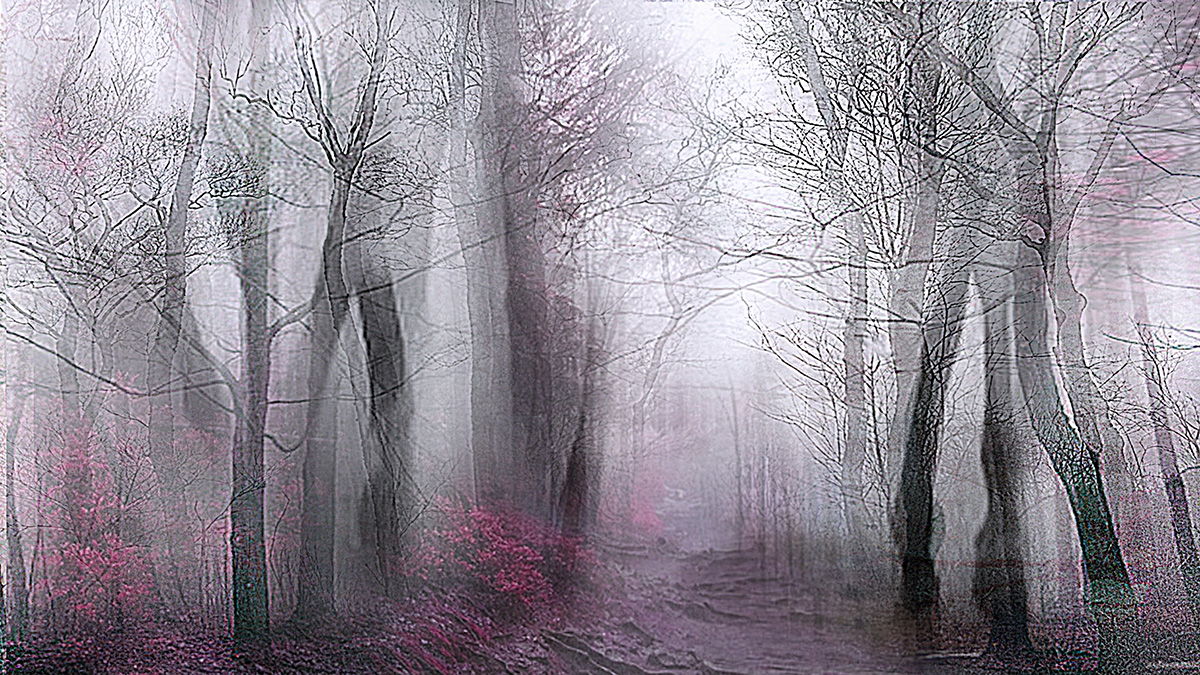 Click to view the Exhibit